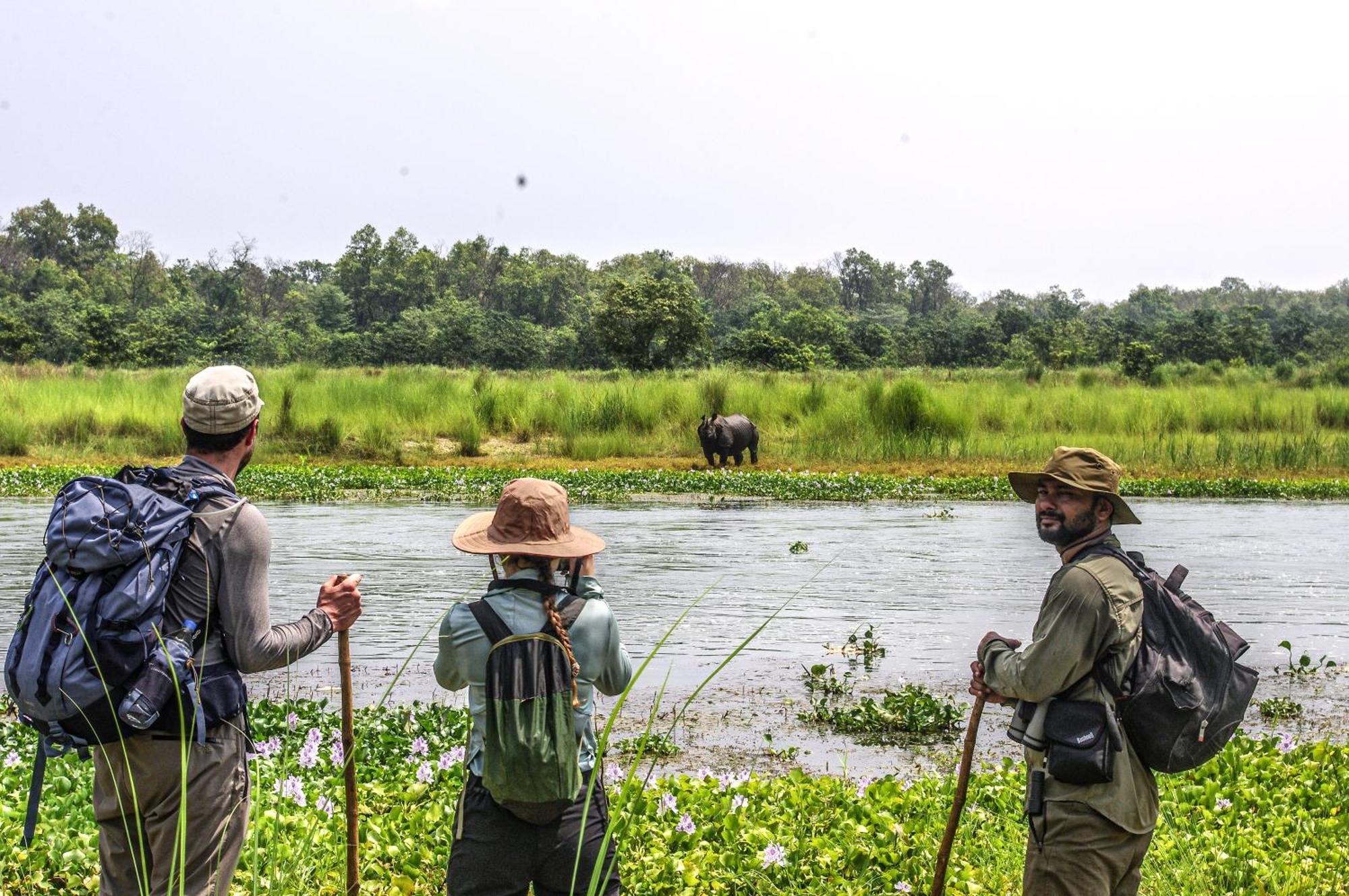 Hotel Flycatcher Chitwan- A Jungle Safari Home Sauraha Exterior photo